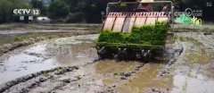 从保守粮食做物到特色经济做物 聪慧农业